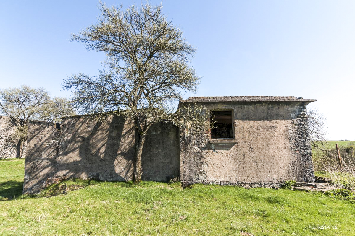 Ligne Maginot - OERMINGEN ( Stand de tir ) - Bâtiment de tir (façade ouest)