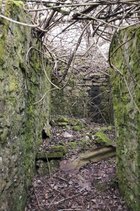 Ligne Maginot - OHLIGMUEHLE (QUARTIER HAUT-POIRIER - II / 133° RIF) - (PC de Quartier) - L'accès vers l'abri