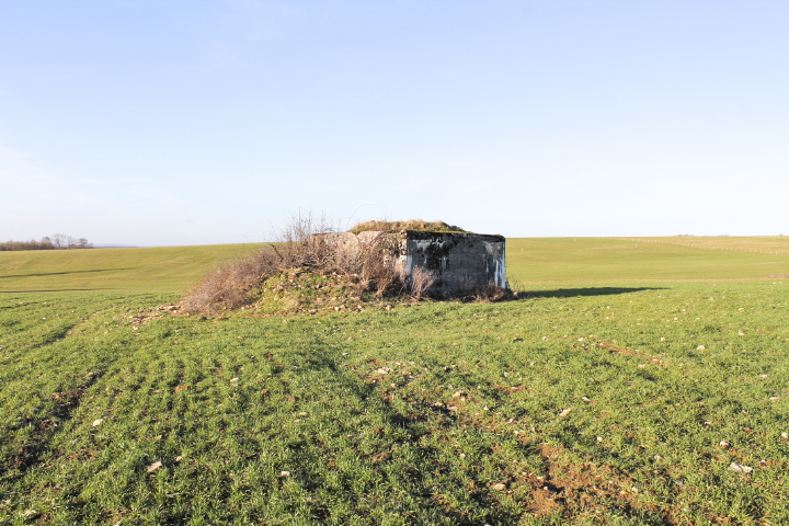 Ligne Maginot - PIFFERSRAEDCHEN 1 - (Blockhaus pour arme infanterie) - 