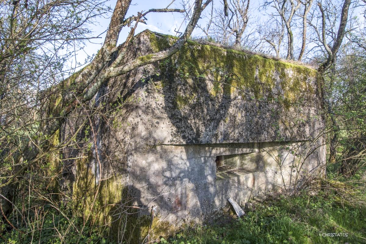 Ligne Maginot - PIFFERSRAEDCHEN 4 - (Blockhaus pour arme infanterie) - 