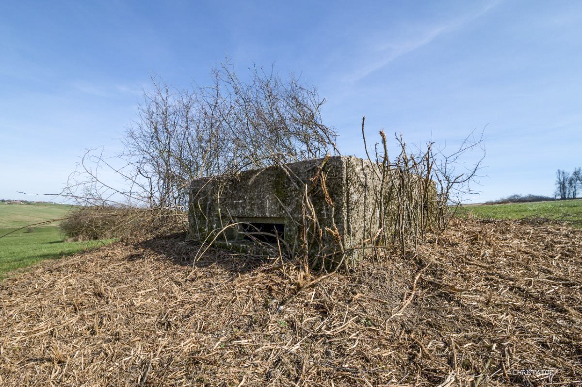 Ligne Maginot - SALWIESE 4 (Blockhaus pour arme infanterie) - 