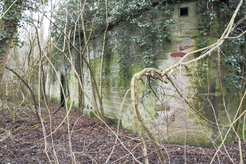 Ligne Maginot - POINT D'APPUI PK119 -1 - (Abri) - Façade arrière de l'abri