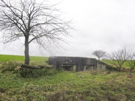 Ligne Maginot - SCHERERSWIESE - (Blockhaus pour arme infanterie) - Vue générale