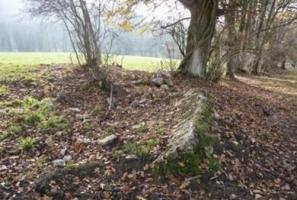 Ligne Maginot - WEIDESHEIM 6 - (Blockhaus pour arme infanterie) - 