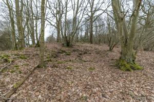 Ligne Maginot - WEIDESHEIMER BERG ( Cuve pour arme d'infanterie ) - 