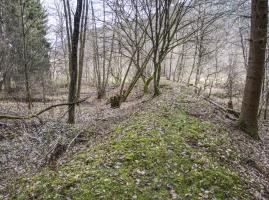 Ligne Maginot - WINECKERTHAL (BARRAGE 11) - (Inondation défensive) - Le barrage en terre surélevé