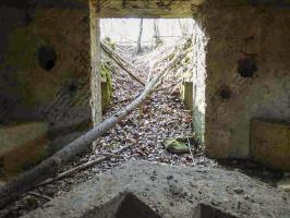 Ligne Maginot - BA104 - ROUTE DE REVIN 1 - (Blockhaus pour canon) - 