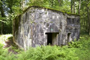 Ligne Maginot - A8 - LE MAMELON EST - (Blockhaus pour canon) - 