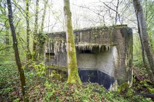 Ligne Maginot - A11 - ACCOTEMENT OUEST - (Blockhaus pour canon) - 