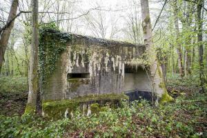 Ligne Maginot - A11 - ACCOTEMENT OUEST - (Blockhaus pour canon) - 