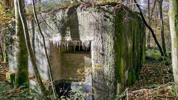 Ligne Maginot - A11 - ACCOTEMENT OUEST - (Blockhaus pour canon) - 