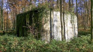 Ligne Maginot - A11 - ACCOTEMENT OUEST - (Blockhaus pour canon) - 