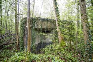 Ligne Maginot - A12 - ACCOTEMENT EST - (Blockhaus pour canon) - 