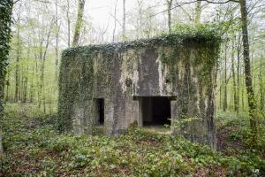 Ligne Maginot - A12 - ACCOTEMENT EST - (Blockhaus pour canon) - Les entrées