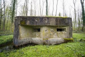 Ligne Maginot - A25 - PATTE D'OIE - (Blockhaus pour canon) - 