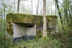 Ligne Maginot - A14 - LE CHARBONNIER - (Blockhaus pour canon) - 