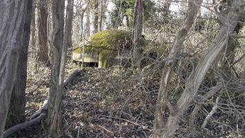 Ligne Maginot - AKAZIEN - GOLDGRUBE 3 - (Blockhaus pour arme infanterie) - Coupole