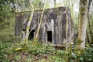 Ligne Maginot - A18 - CARREFOUR AMELIE OUEST - (Blockhaus pour canon) - Les entrées