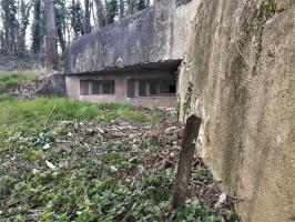 Ligne Maginot - FORT FOCH - (Abri) - Les deux créneaux pour mitrailleuses