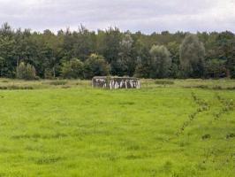 Ligne Maginot - BEF 745 - FONTAINE SAINT-CHRYSOLE - (Blockhaus pour arme infanterie) - 