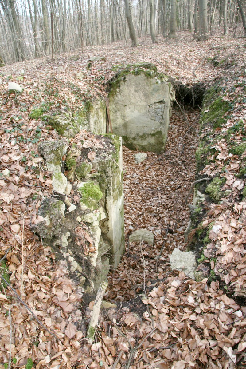 Ligne Maginot - GUNGLINGERBERG 8 - (Cuve pour arme d'infanterie) - Poste de tir d'infanterie bétonné