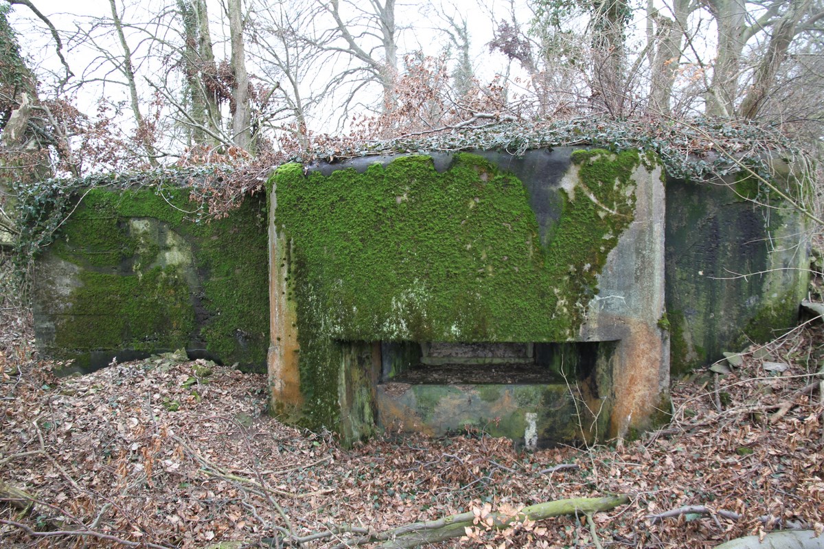 Ligne Maginot - AB1 - (Blockhaus pour canon) - Façade et créneau canon