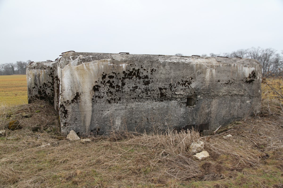 Ligne Maginot - PUTTWINKEL SUD - (Blockhaus pour arme infanterie) - 