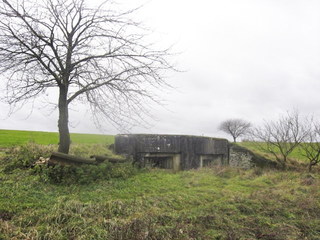 Ligne Maginot - SCHERERSWIESE - (Blockhaus pour arme infanterie) - Vue générale