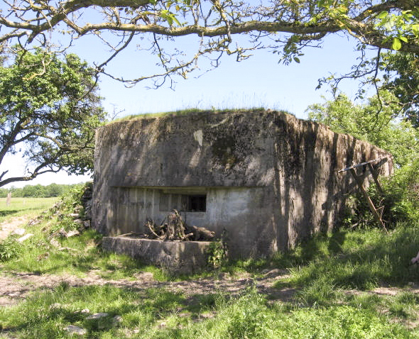 Ligne Maginot - WEIDESHEIM 3 - (Blockhaus pour arme infanterie) - Vue générale