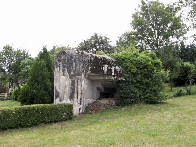 Ligne Maginot - WELSCHMUEHLE 1 - (Blockhaus pour canon) - Vue générale