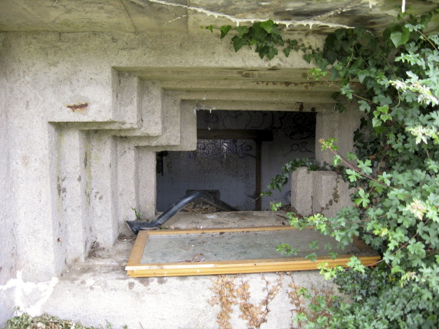 Ligne Maginot - WELSCHMUEHLE 1 - (Blockhaus pour canon) - Créneau du canon