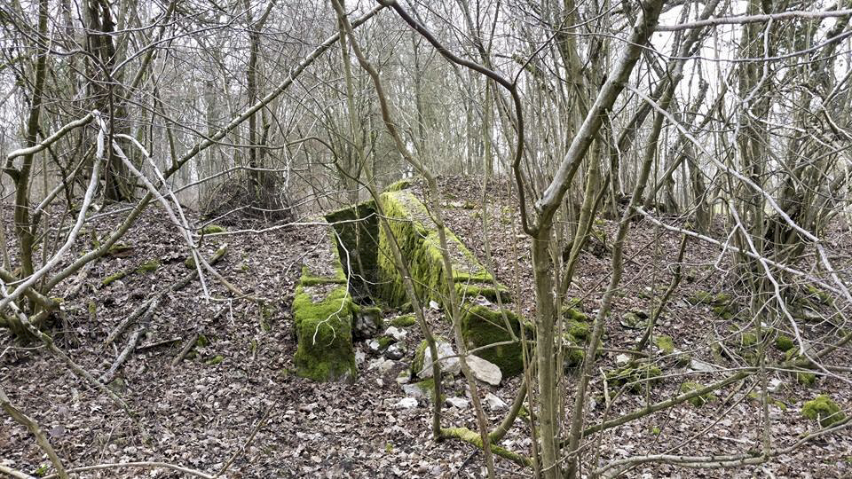 Ligne Maginot - Chambre de coupure X54 - La tranchée d'accès