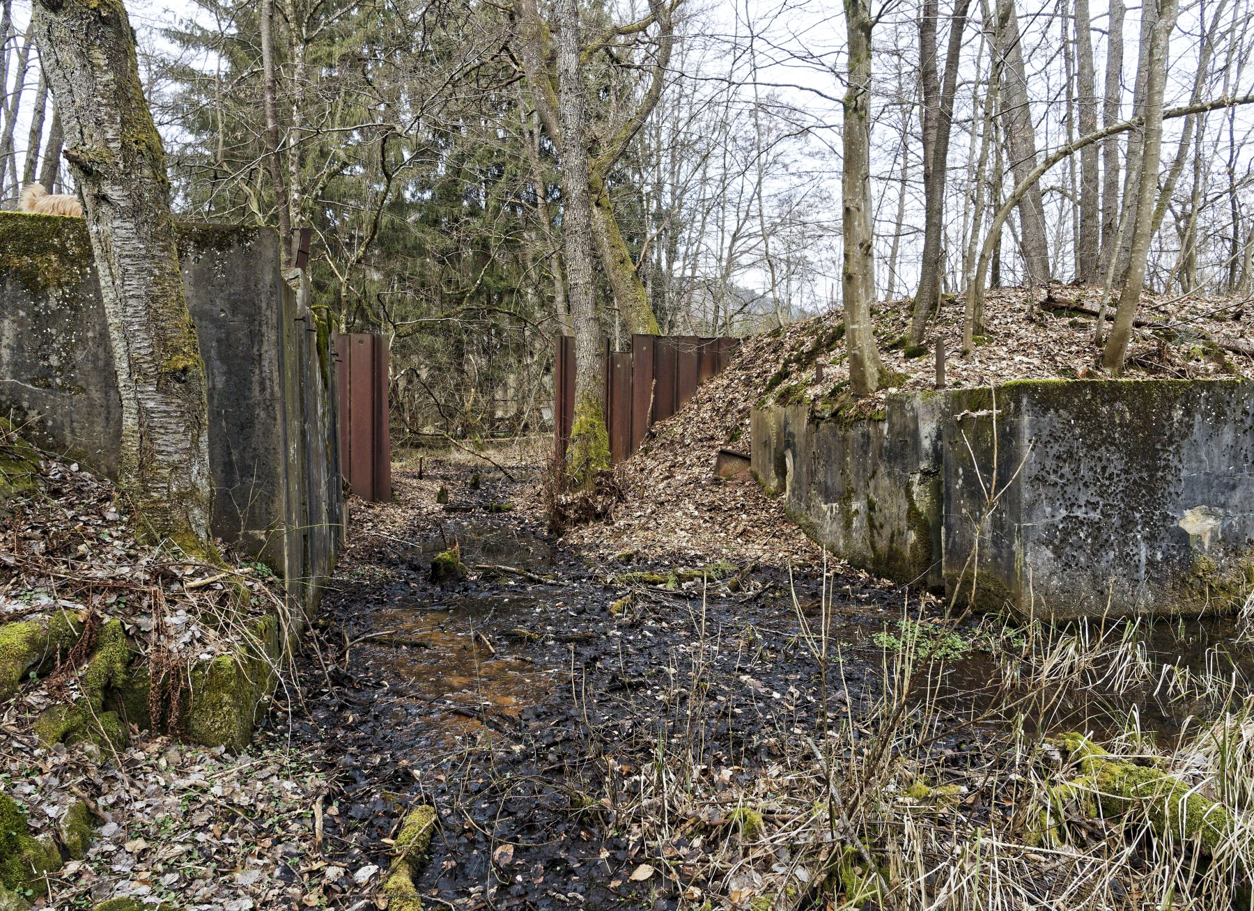 Ligne Maginot - WINECKERTHAL (BARRAGE 11) - (Inondation défensive) - 