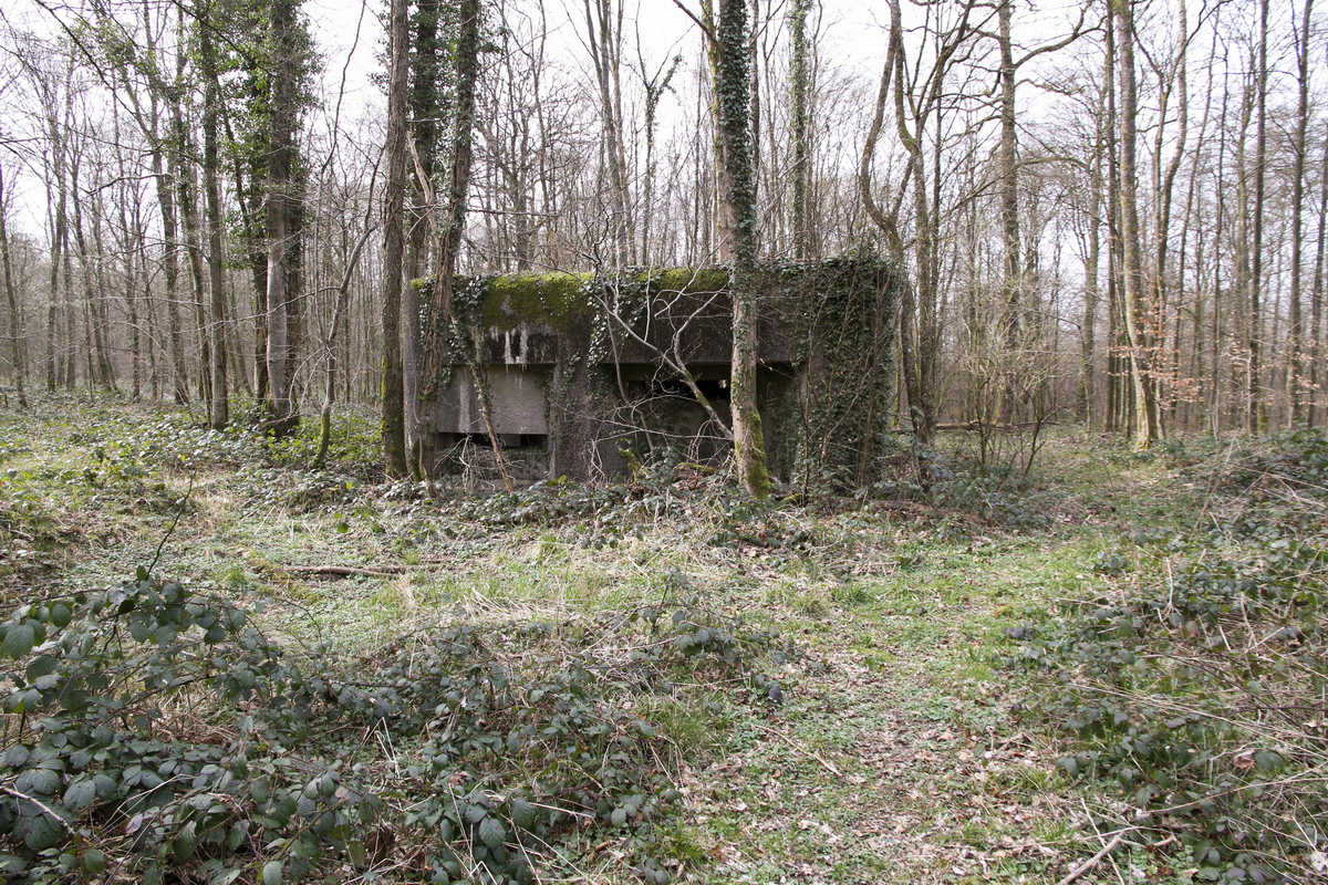 Ligne Maginot - A2 - MACQUENOISE NORD - (Blockhaus pour canon) - 