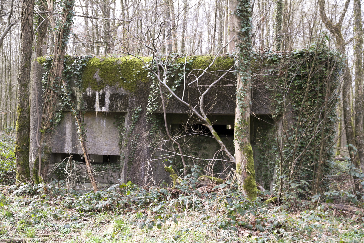 Ligne Maginot - A2 - MACQUENOISE NORD - (Blockhaus pour canon) - 