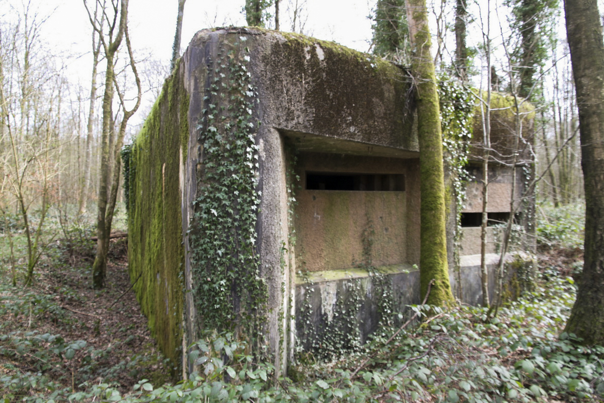 Ligne Maginot - A2 - MACQUENOISE NORD - (Blockhaus pour canon) - 