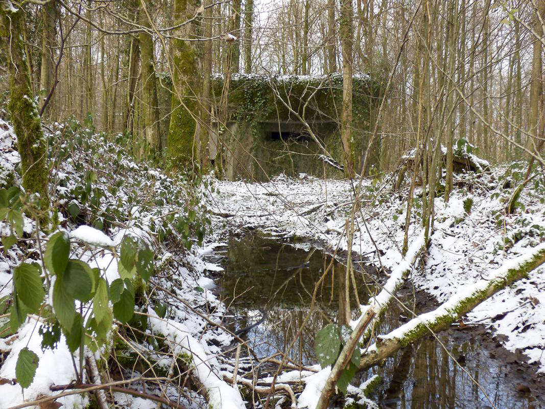 Ligne Maginot - A3 - MACQUENOISE SUD - (Blockhaus pour canon) - 