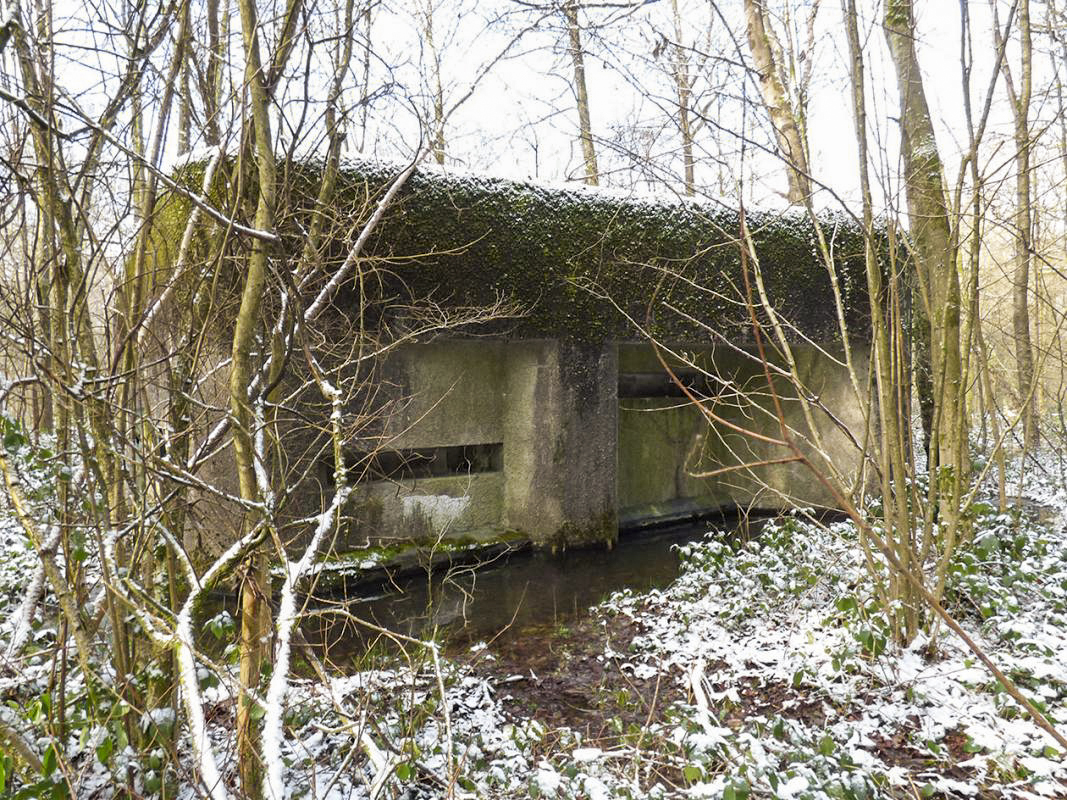 Ligne Maginot - A3 - MACQUENOISE SUD - (Blockhaus pour canon) - 