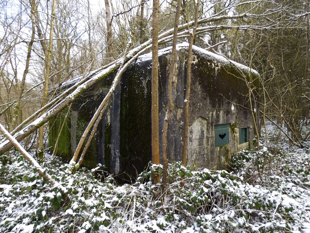 Ligne Maginot - A3 - MACQUENOISE SUD - (Blockhaus pour canon) - 