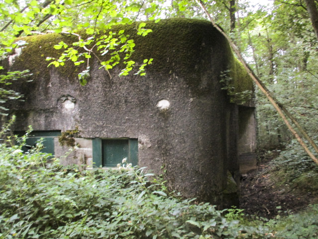 Ligne Maginot - A3 - MACQUENOISE SUD - (Blockhaus pour canon) - Ce blockhaus sert d'abri aux chauves-souris.