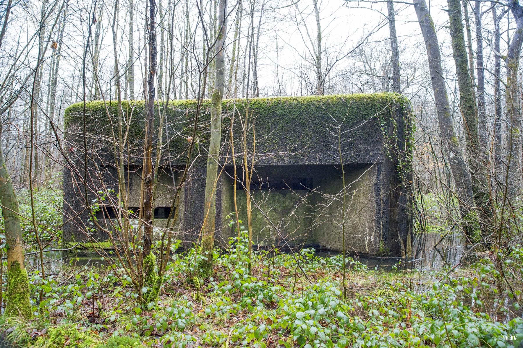 Ligne Maginot - A3 - MACQUENOISE SUD - (Blockhaus pour canon) - 