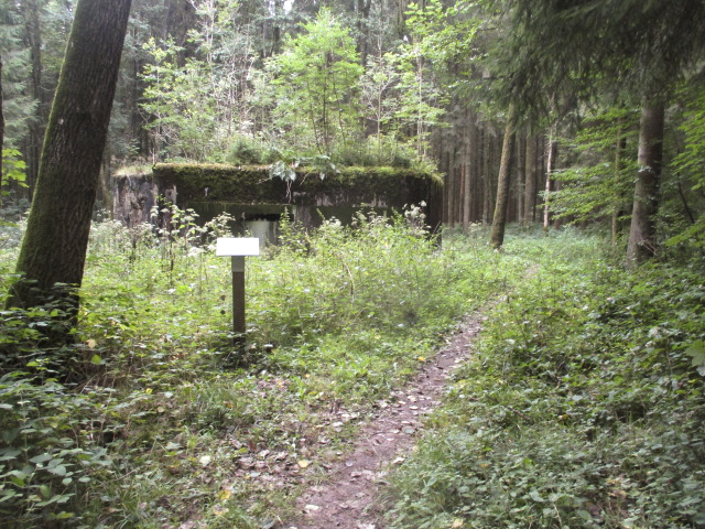 Ligne Maginot - A5 - LE DEBOUCHE - (Blockhaus pour canon) - Situé dans son environnement à proximité d'un fossé antichar.