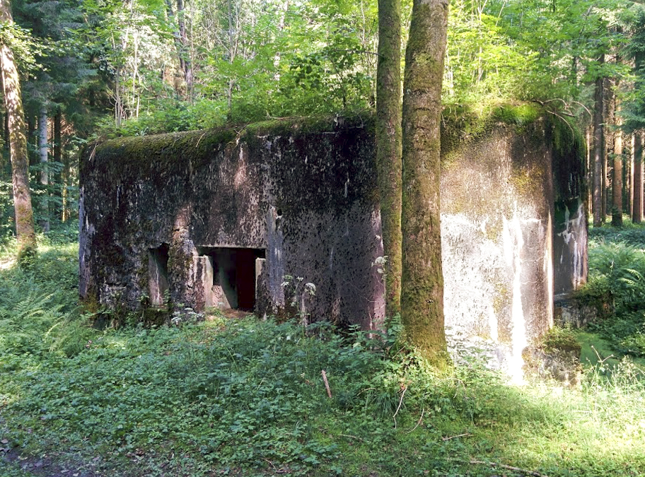 Ligne Maginot - A5 - LE DEBOUCHE - (Blockhaus pour canon) - 