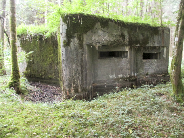 Ligne Maginot - A6 - LA CROUPE - (Blockhaus pour canon) - 