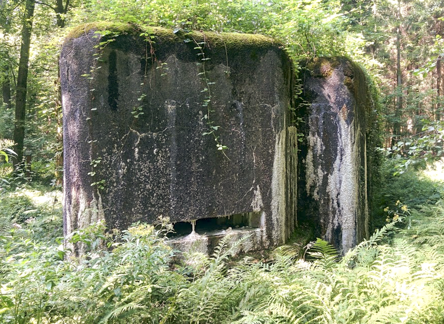 Ligne Maginot - A7 - LE MAMELON OUEST - (Blockhaus pour canon) - 