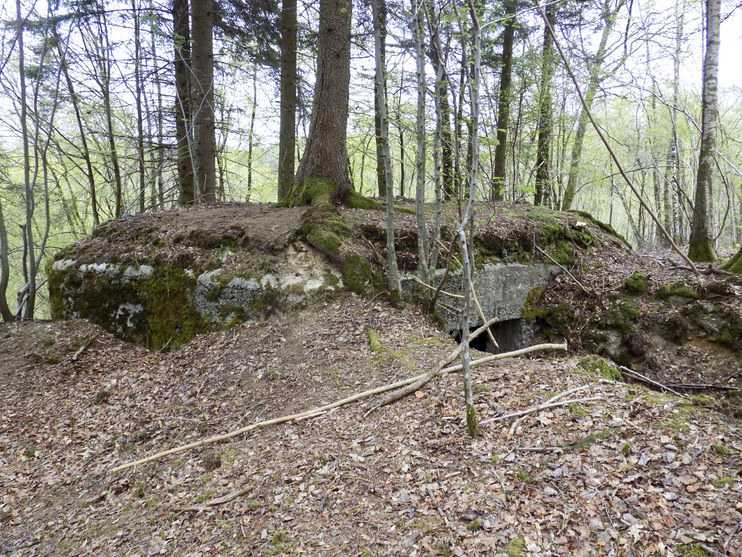 Ligne Maginot - BA104 - ROUTE DE REVIN 1 - (Blockhaus pour canon) - Faces gauche et l'arrière