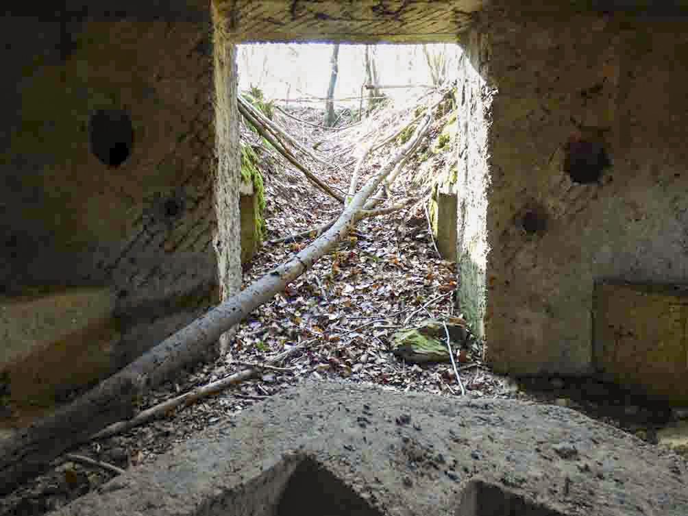 Ligne Maginot - BA104 - ROUTE DE REVIN 1 - (Blockhaus pour canon) - 