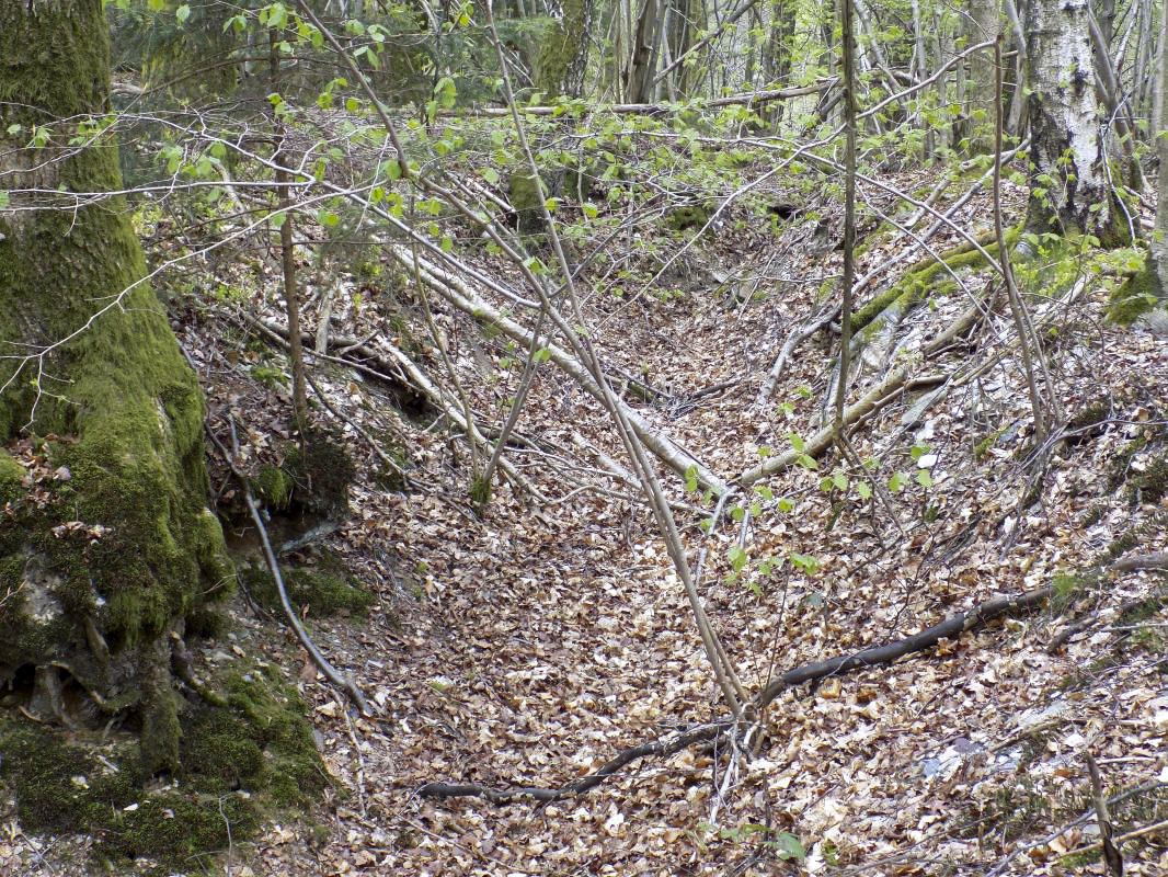 Ligne Maginot - BA104 - ROUTE DE REVIN 1 - (Blockhaus pour canon) - Vestiges des tranchées