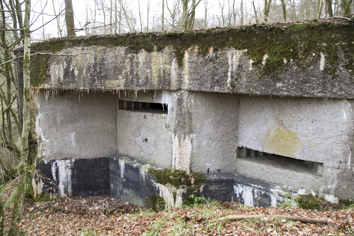 Ligne Maginot - LE GLACIS BAS - (Blockhaus pour canon) - 