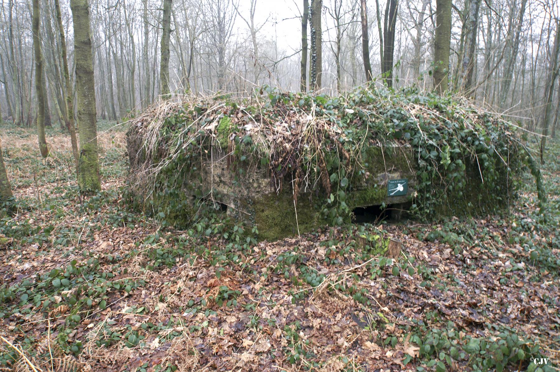 Ligne Maginot - BA14 - LA CANTINE NORD - (Blockhaus pour canon) - 